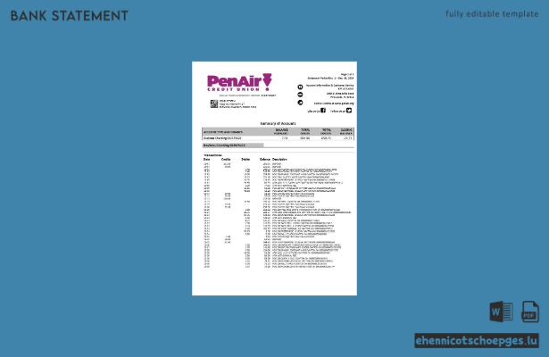 USA Florida PenAir Credit Union Kontoauszug (Word-Format, 3 Seiten), Beispielvorschau